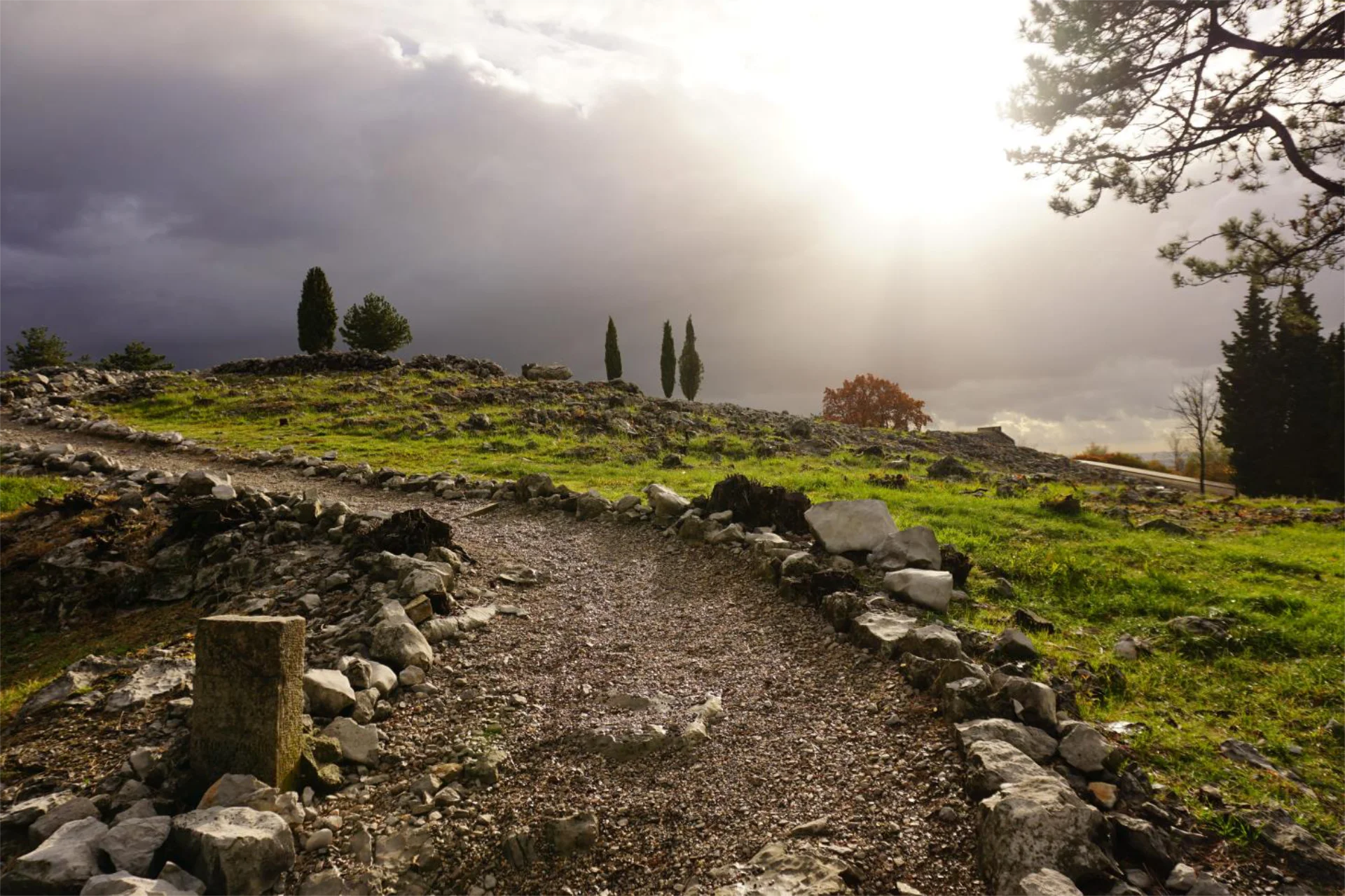 Visita poetica e immersiva lungo i sentieri del Monte San Michele