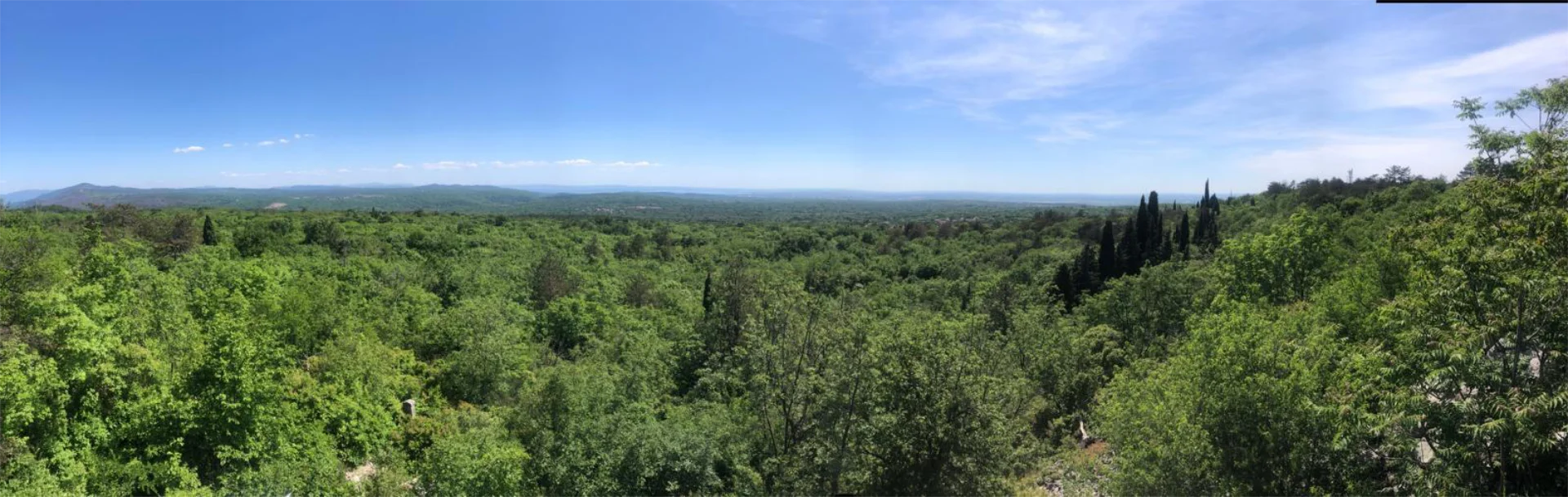 Visita a la naturaleza: Sendero Ungaretti